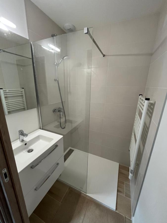 Appartement Aux Pieds Des Pistes De Ski Laveissière Exteriör bild