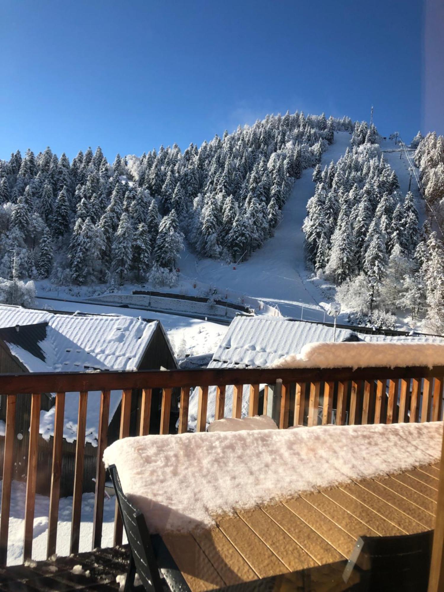 Appartement Aux Pieds Des Pistes De Ski Laveissière Exteriör bild
