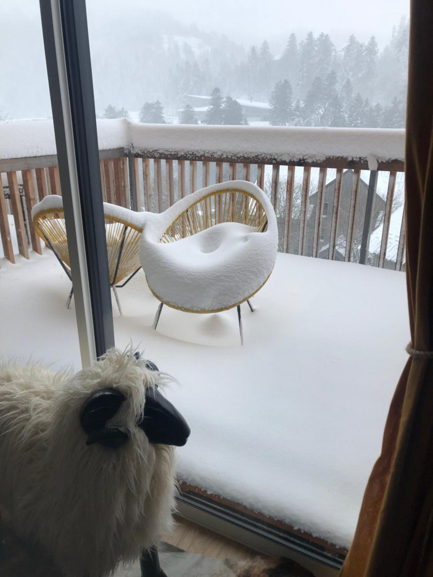 Appartement Aux Pieds Des Pistes De Ski Laveissière Exteriör bild